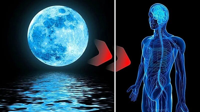 Влияние Луны на человека. Луна влияет на человека. Влияние Луны на человека эзотерика. Полнолуние и психика. Влияние луны на организм