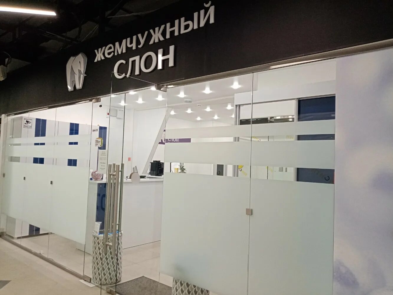 жемчужный слон омск. белый слон омск. стоматология омск нефтезаводская. жемчужный слон стоматология омск. жемчужный слон стоматология омск.