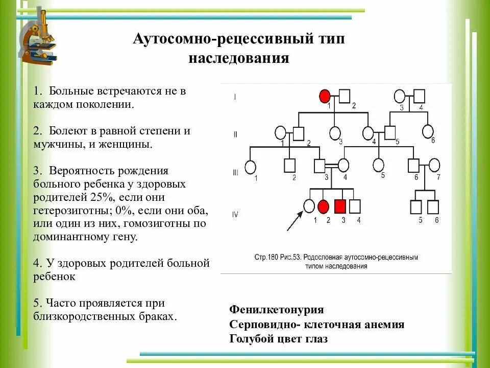 Аутосомно рецессивный тип родословная. Родословная генетика аутосомно рецессивный. родословная с аутосомно рецессивным типом наследования заболевания. аутосомно-рецессивный тип наследования схема.