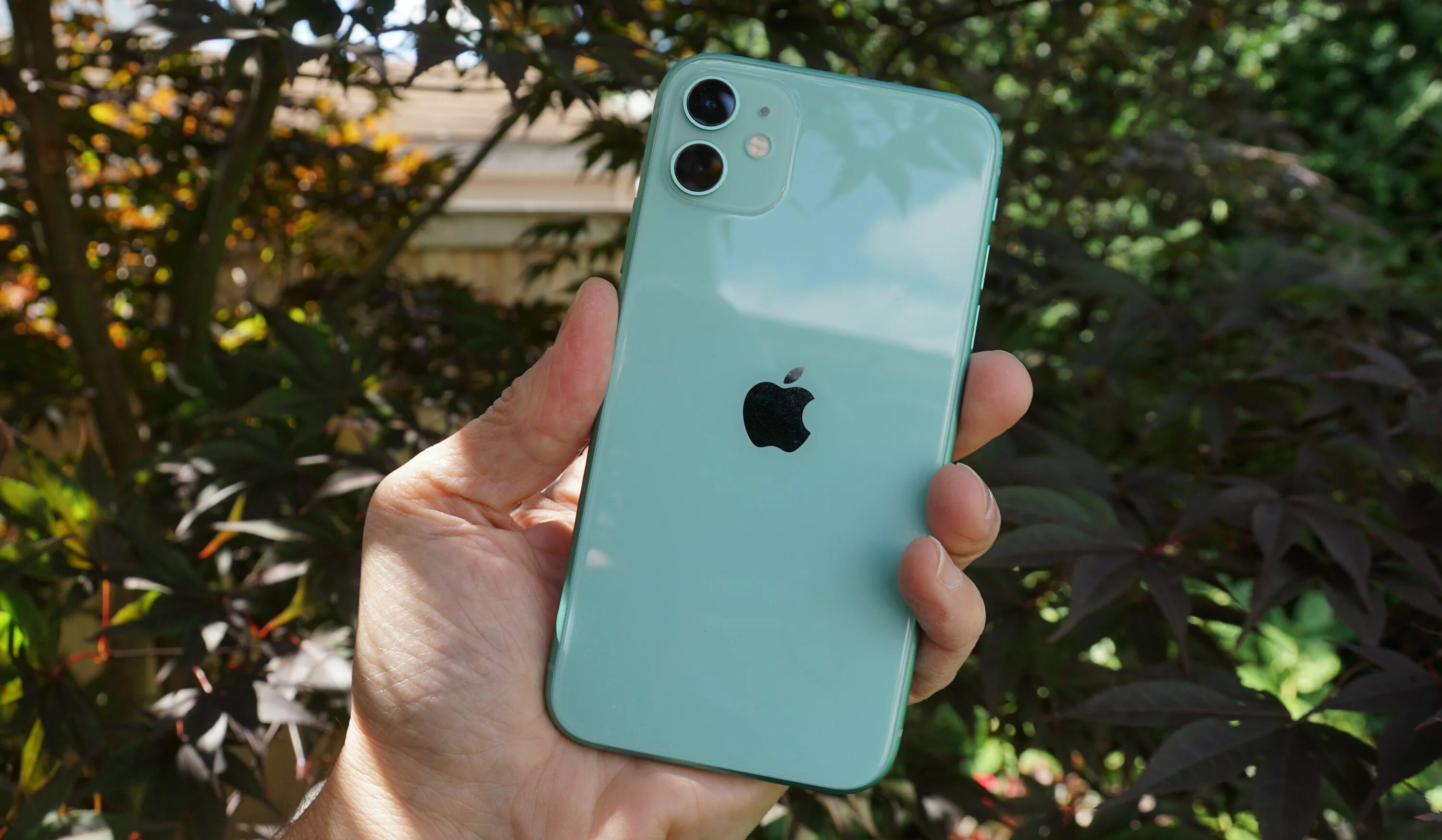 Айфон 15 цвета в живую. Iphone 11 green. эпл 11 айфон. iphone 11 pro китайский. apple iphone 11 128gb green.
