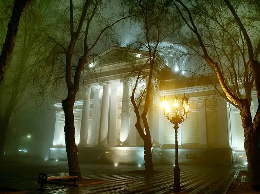 Одесская ночь. Одесса ночью. Одесса природа. Ночная Одесса фото. Природа Одессы ночью.