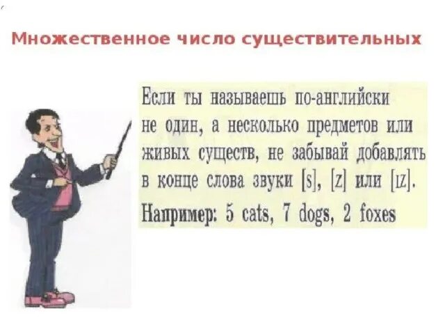 Pen во множественном. Множественное число в английском 2 класс правило. Множественное число в англ яз 2 класс правило. Правило множественного числа в английском языке для 2 класса. Множественное число 2 класс правило.