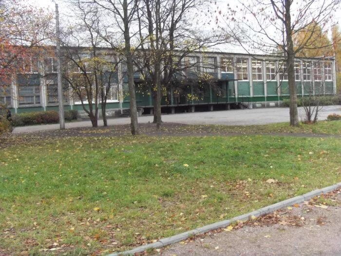 Школа 145 спб. Школа 145 санкт-петербург. 145 школа калининского района. гбоу сош 145 калининского района санкт-петербурга.