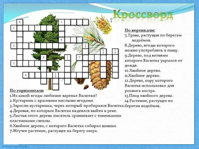 Кроссворд о природе. Кроссворд на тему природа. Кроссворд с вопросами. Кроссворд про природу для детей. Синквейн васютка из васюткино озеро