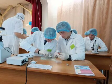 Профессиональное образование ростов