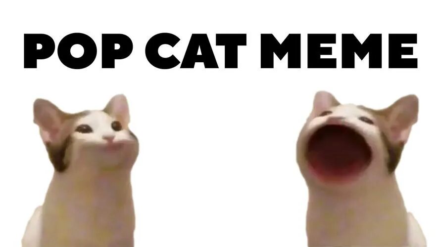 Мем с котом поп Кот открывает рот в известных местах YouTube