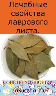 Лавровый лист как лекарство
