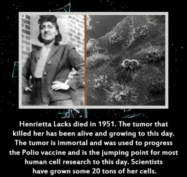 These days scientists are developing a