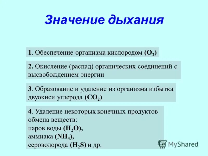 Распад кислорода. Процесс дыхания значение для организма. Значение дыхания. Значение дыхательной системы. Значение системы органов дыхания.