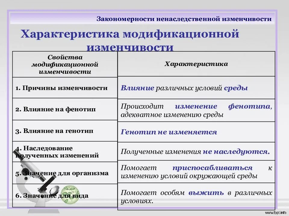 Характеристика ненаследственной изменчивости. Ненаследственная модификационная изменчивость ее характеристика. Характеристика модификационной изменчивости. Наследование признаков модификационной изменчивости таблица.