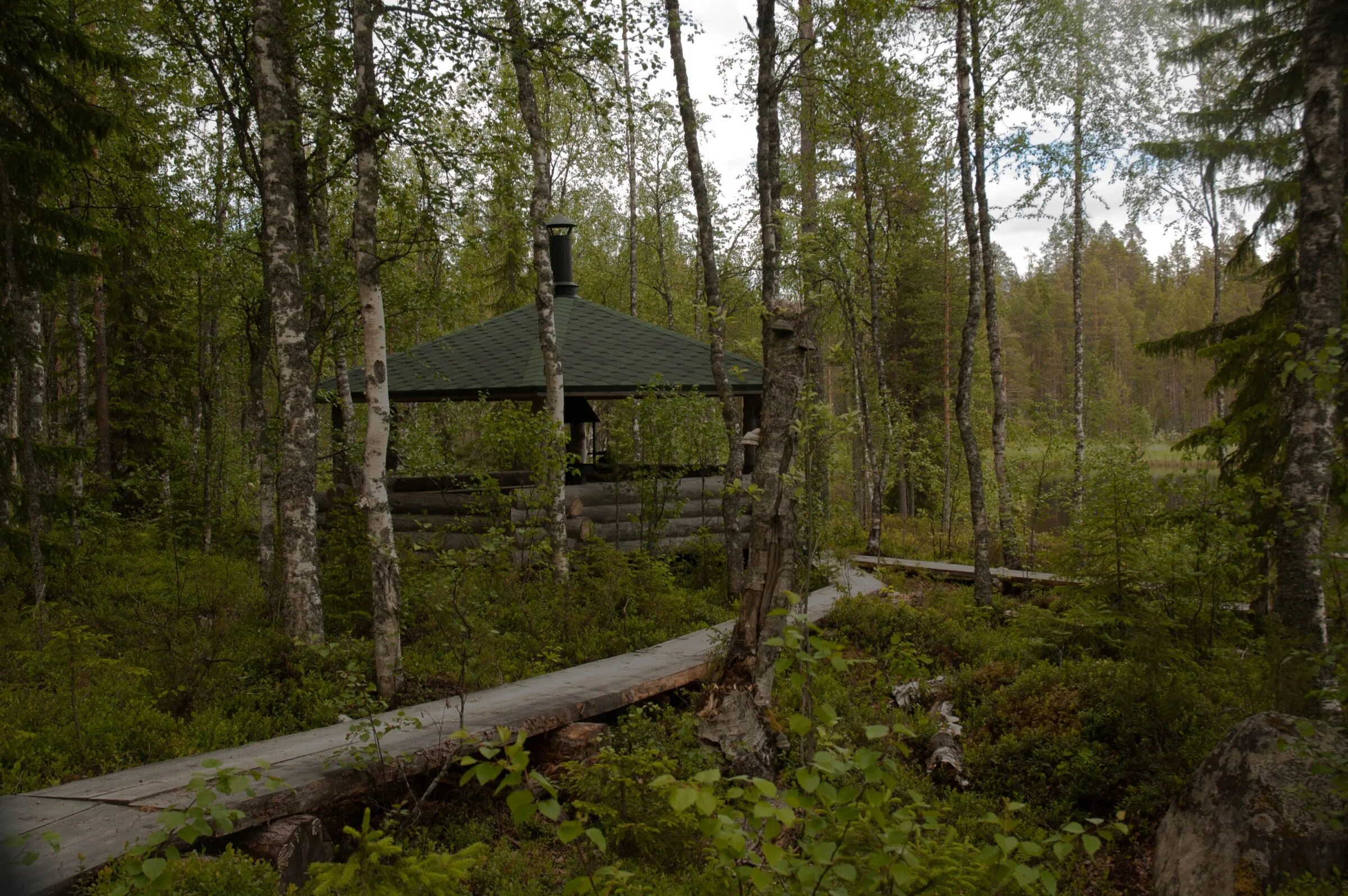 Тропы карелии