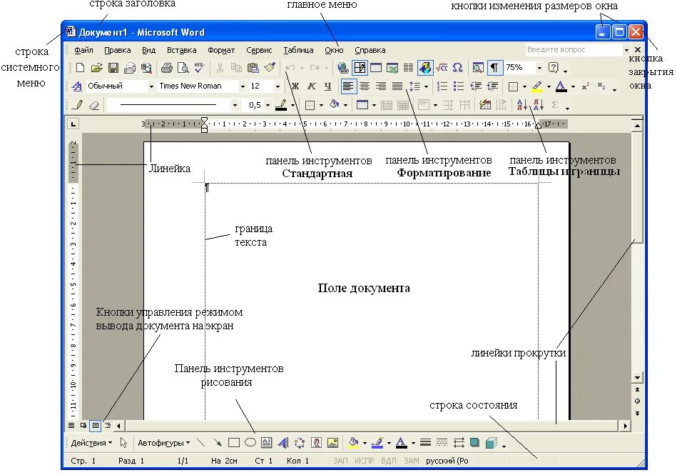 Окно панели элементов. Структура рабочего окна MS Word.. Текстовый процессор МС ворд. Панель инструментов Главная MS Word. Текстовый процессор ворд 2003.