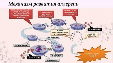 Навлекают аллергические реакции
