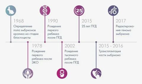 Эко сколько эмбрионов