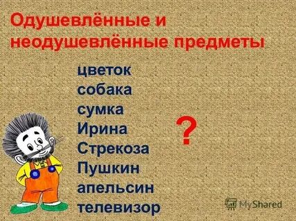 Книга неодушевленное