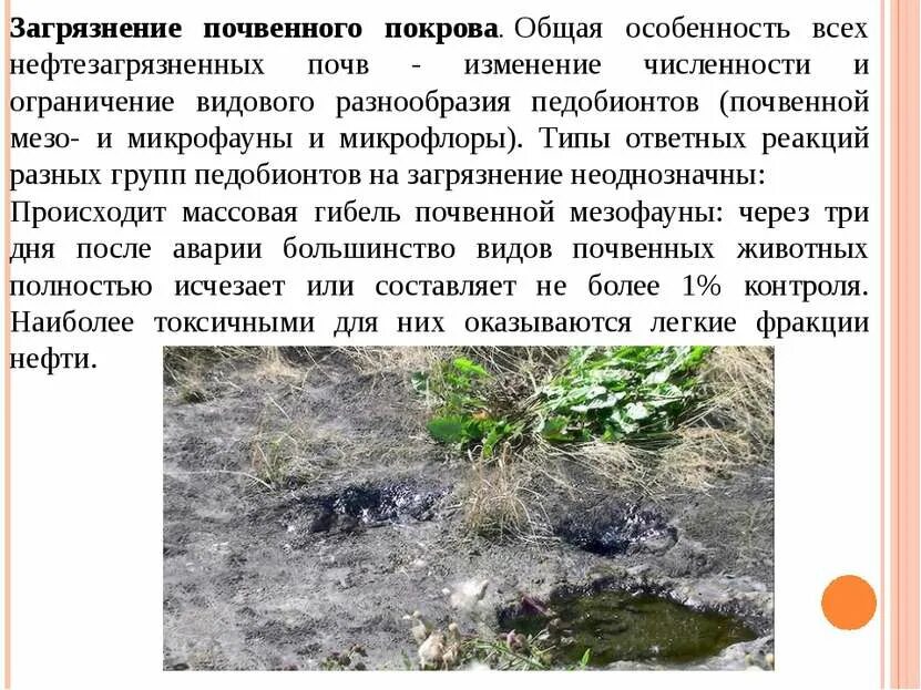 Характеристика почвенного покрова. Загрязнение почвенного покрова. загрязненность почвы нра животных. загрязнение почвы сообщение. влияние нефти на почвенный покров.