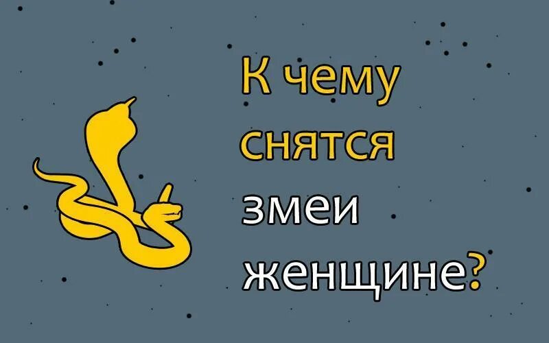 К чему снятся змейки. К чему снятся змеи. Змея сонник к чему снится женщине. Змеи приснились во сне женщине. К чему снятся змеи женщине.