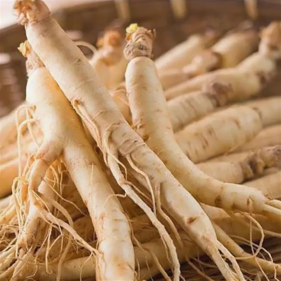 корень 50. корень из 3 в 3 степени. корень из 50. корень 2 + корень 2. корень 8 50.