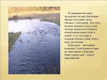 Ясная река текст
