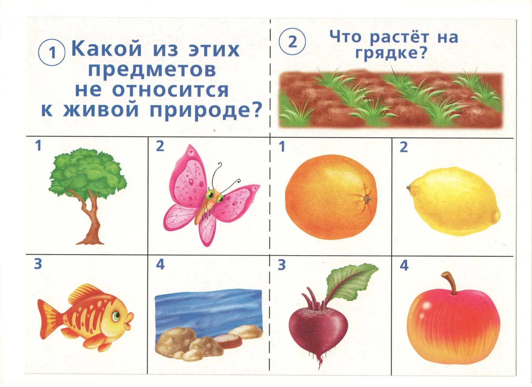 Познавательные игры для 1 класса