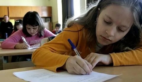 Профессиональные гимназии