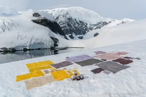 Norma tale antarctic канат