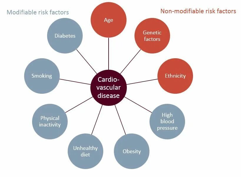 Risk Factors. Risk Factors of Diabetes. Risk Factors for Health. Risk Factors иконка. Risks org