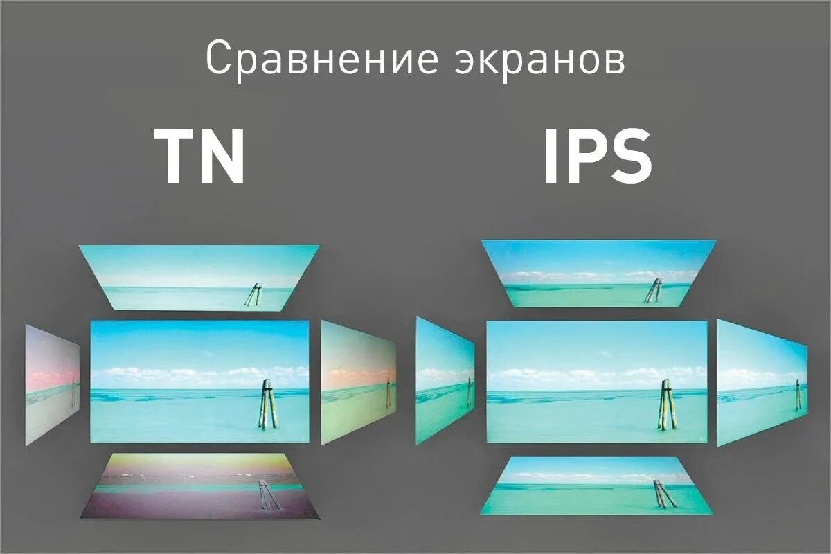 Экран обзора. TFT IPS LCD(16.9). Тип матрицы TFT IPS что это. Тип экрана IPS или TFT. TN IPS TN TFT.