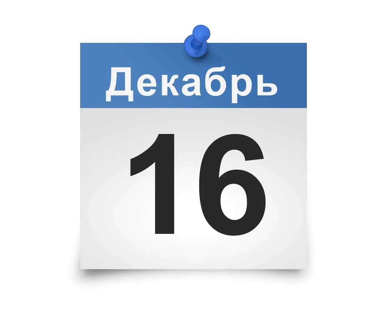 12 января 19 февраля