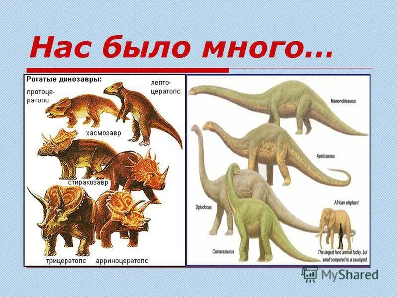 На какой территории жили динозавры. Продолжительность жизни динозавров. Периусы жизни динозавров. Какие динозавры жили. Когда жили динозавры.