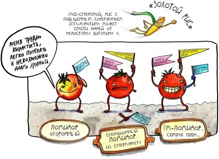 Польза гмо