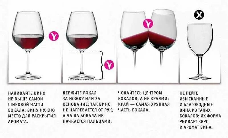 Семья пьет чистую воду. Бокалы для вина по этикету. Правило двух стаканов. Части бокала для вина. Стаканы воды в день.