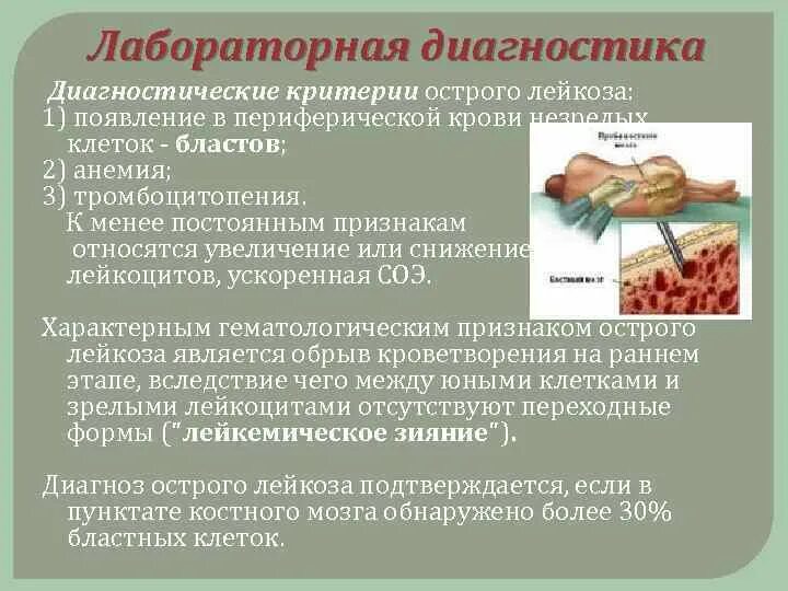 Острый лейкоз у детей симптомы. Лабоpатоpные пpизнаки остpого лейкоза. основной лабораторный признак при остром лейкозе. диагностические критерии острого лейкоза. критерии диагностики острых лейкозов.