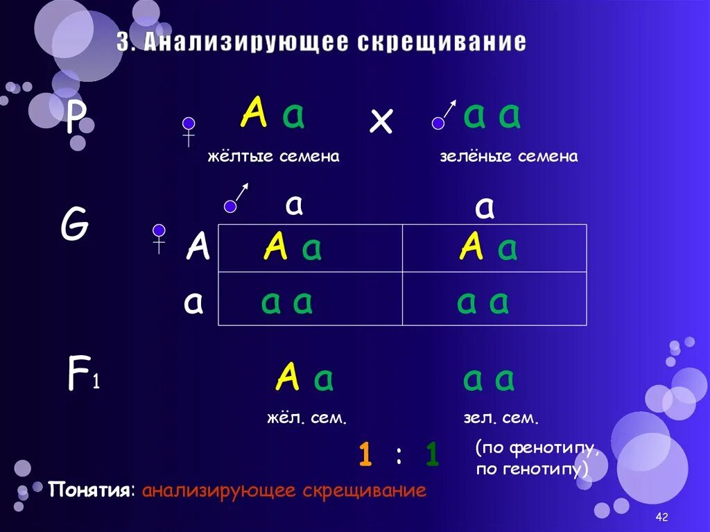 Комбинация скрещивание. Анализирующее скрещивание. НАЛИЗИРУЮЩЕЕ скрещивани. Анализирующее скрещивание горох. Анализирующее скрещивание понятие.