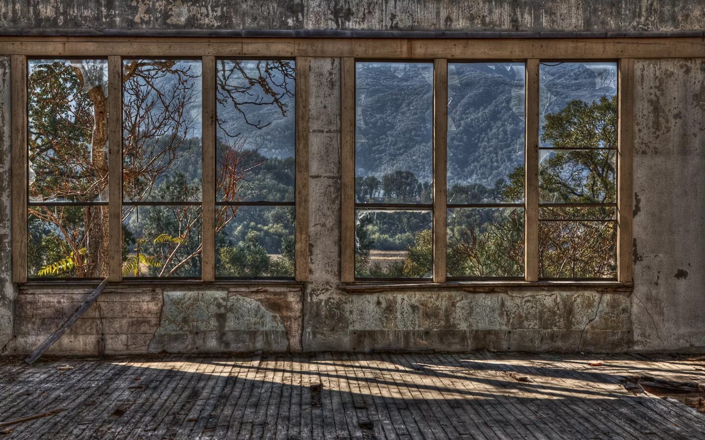 Split window