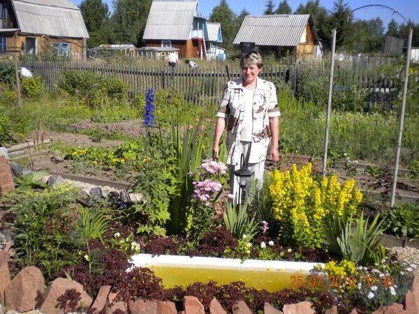 Подслушано хвойная в контакте. Хвойная моя маленькая Родина. Хвойная моя маленькая Родина в контакте. Хвойная моя маленькая Родина объявления подслушано.