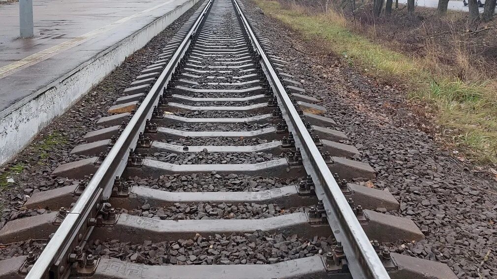 Электричка брянск 2 навля. Электричка брянск 2 навля