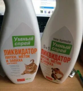Как вывести кошачий запах с ковра
