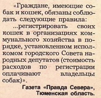 Шуточное описание