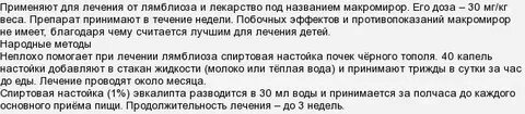 Народные средства от лямблий у взрослых