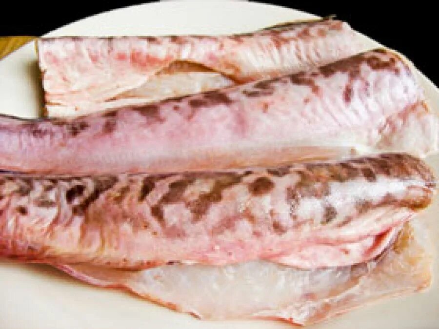 Рыба похожая на мясо. Креветочная рыба конгрио. Абадехо креветочная рыба. Конгрио(креветочная рыба тушка). Морской угорь конгрио.