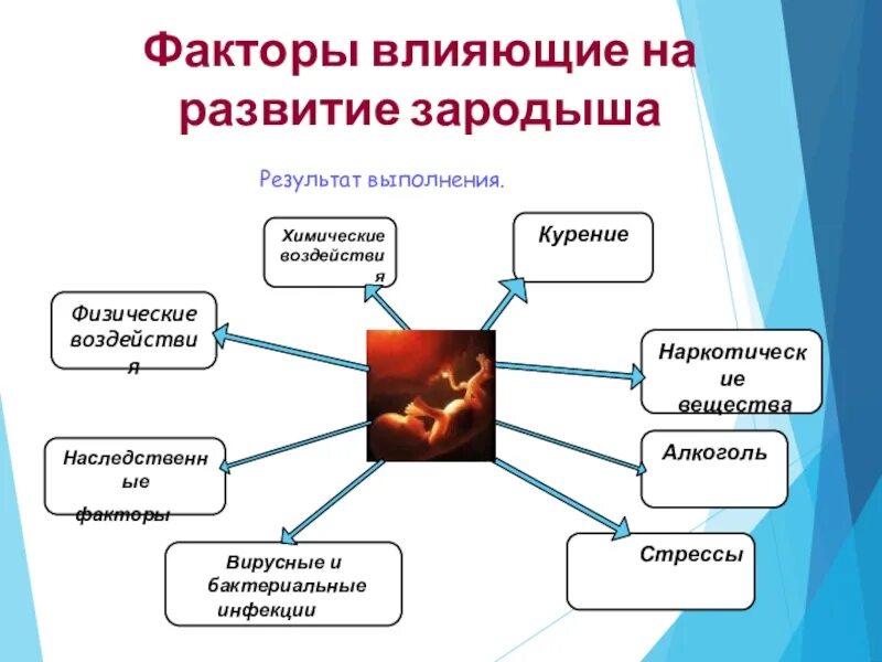 Влияние окружающей на развитие организмов. Влияние внешних условий на развитие зародыша. Влияние внешней среды на развитие эмбриона. Факторы оказывающие влияние на развитие зародыша человека. Влияние факторов среды на зародыш.