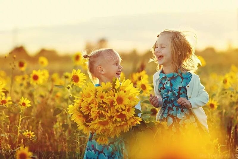 символ счастливой семьи. семья в поле. символ счастливой семьи. мир семьи солнечный. радостные люди на природе.