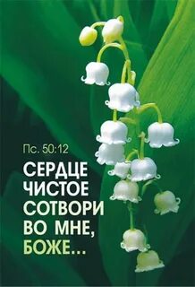 Боже сердце