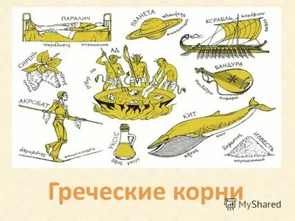 Это слово пришло из греческого