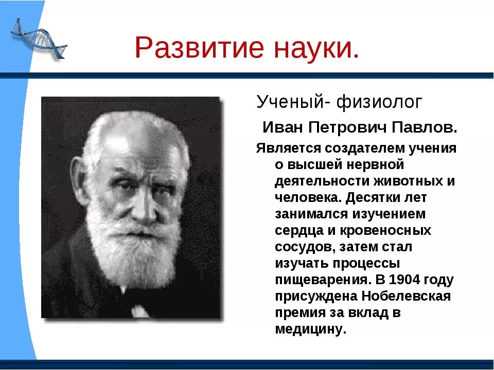 Физиолог россии. Открытие Ивана Петровича Павлова.