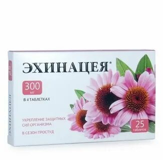 Эхинацея казань