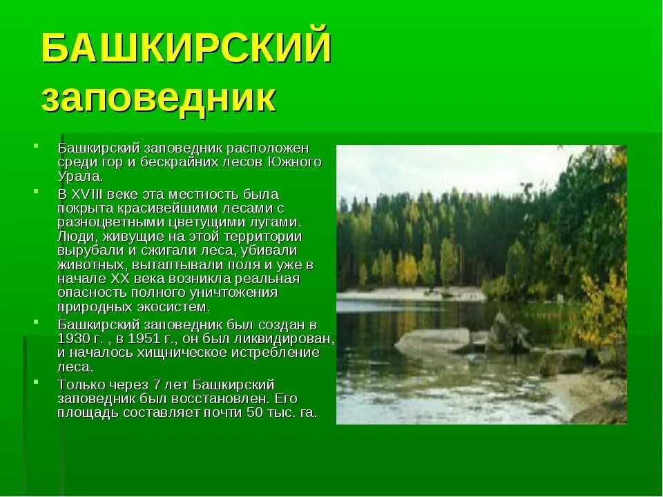 Как называется первый заповедник. Заповедники и национальные парки. сведения заповедника. заповедник башкортостана рассказ.