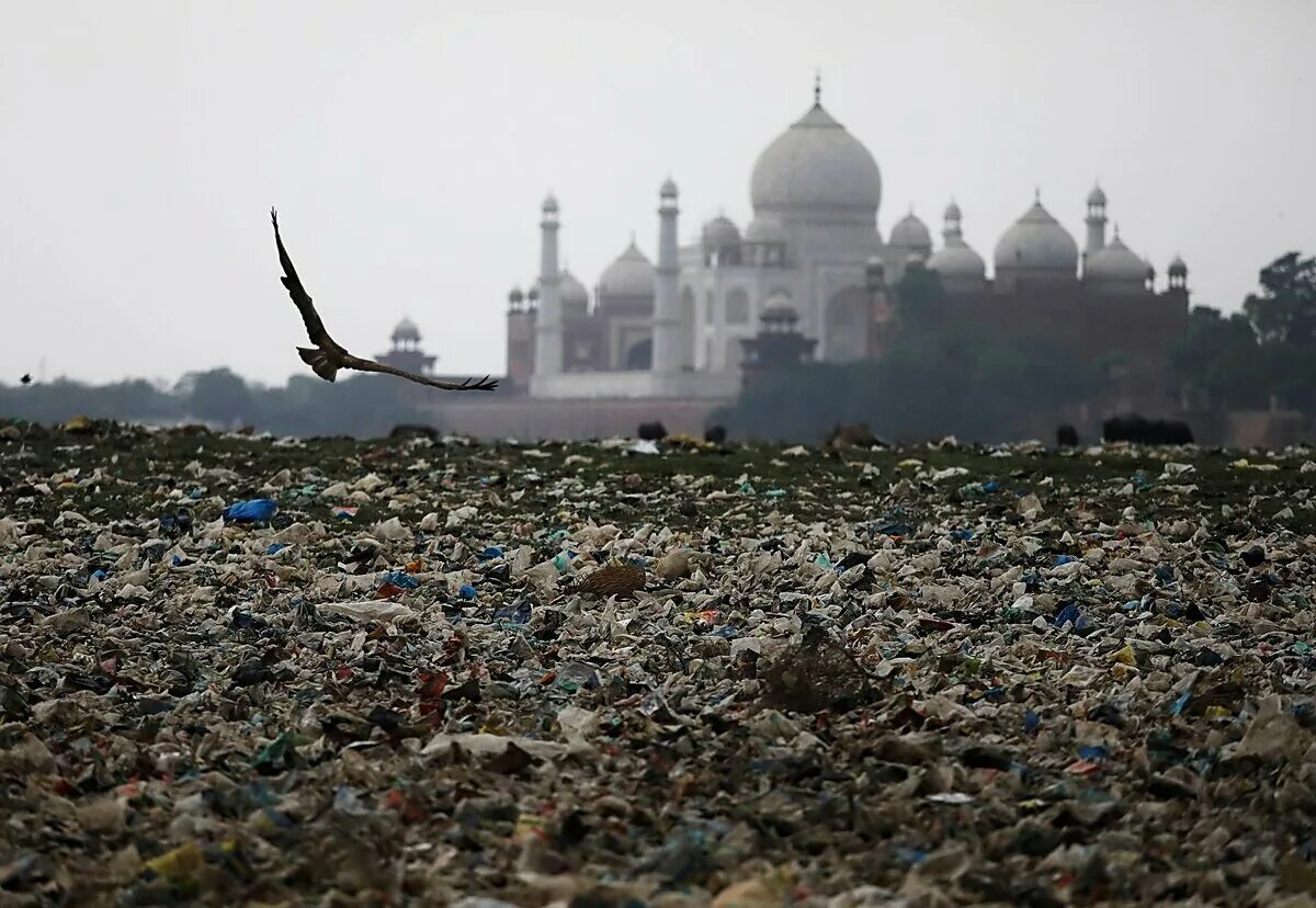 Основные экологические проблемы индии. Тадж Махал трущобы. Тадж-Махал Индия грязь.