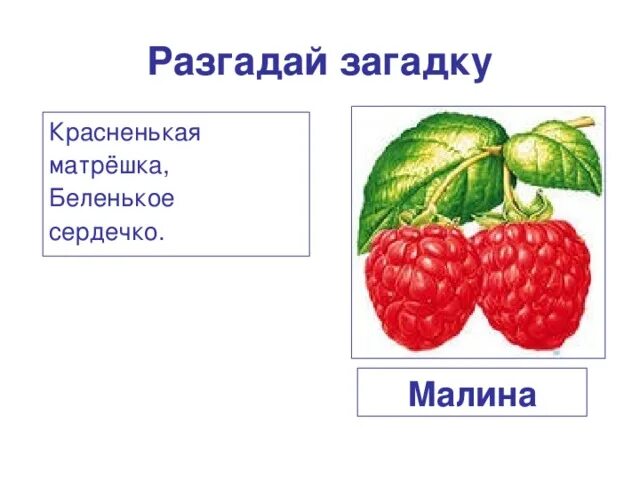 Ответ на загадку красненькая матрешка. Загадка про малину. Загадка о Малине для детей. Малина загадка для детей. Загадки про ягоду малину.